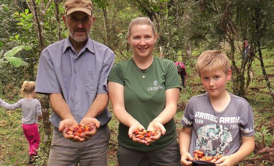 Поколение за поколением семьи в бразильском штате Парана общими силами выращивают парагвайский падуб в тени деревьев и сохраняют здоровье араукариевого леса, который в свою очередь обеспечивает их источниками средств к существованию. 